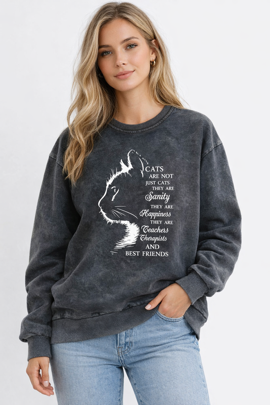 Model draagt de vintage zwarte kattentrui met wit kat silhouet en katten quote