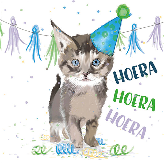 Katten verjaardagskaart Kitten Hoera