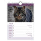 Katten WEEKnotitiekalender 2027