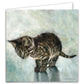Katten kaarten 8 stuks met enveloppen "Kitten"