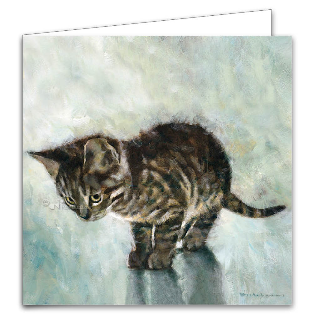 Katten kaarten 8 stuks met enveloppen "Kitten"