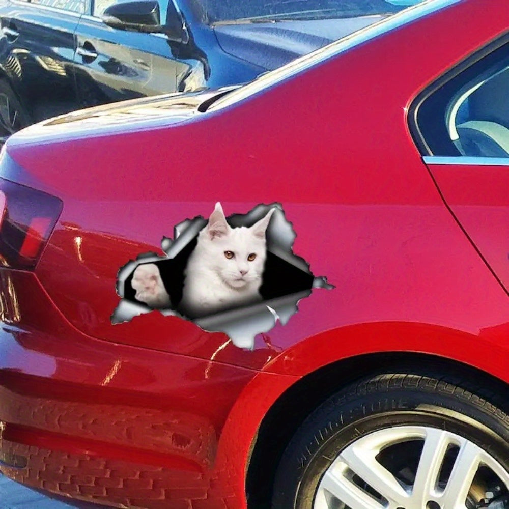 Auto sticker - Maine Coon wit