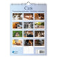Katten verjaardagskalender A4