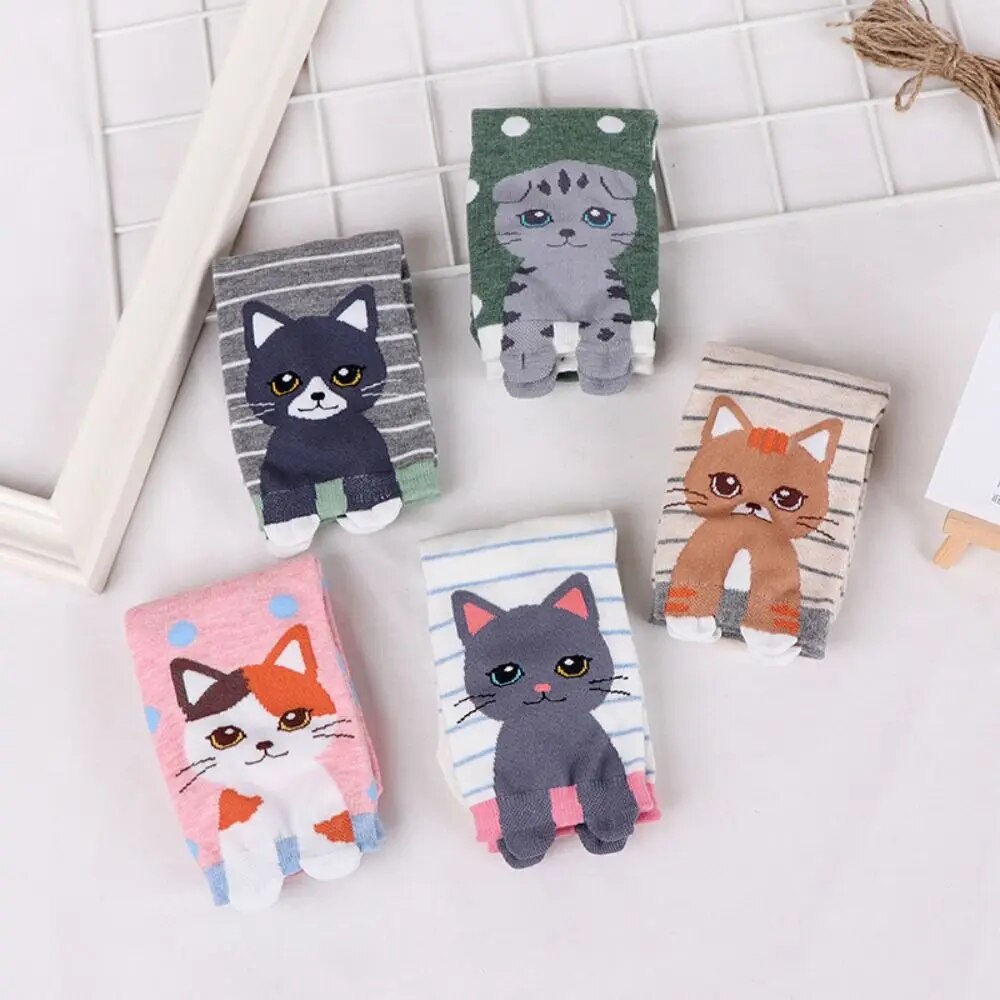 Katten sneakersokken 5 paar met verschillende katten, strepen en stippen