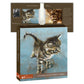 Katten kaarten 8 stuks met enveloppen "Kitten"
