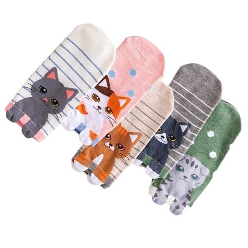 Katten sneakersokken 5 paar met verschillende katten, strepen en stippen