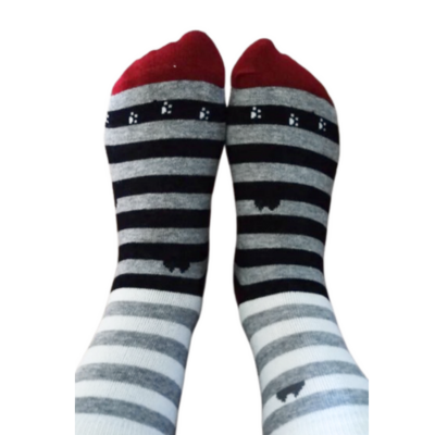 Kattensokken 5 paar met kattenkop, strepen en stippen