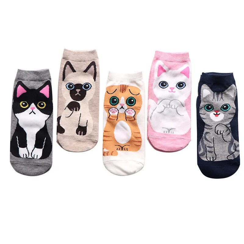 Katten Met Truien Maken Selfies, Grappige Huisdieren Op Vakantie in De Katten Met Truien Maken Selfies, Grappige Huisdieren Op Vakantie in De
