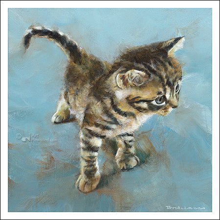Katten wenskaart "Kitten"