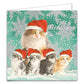 Katten kerstkaarten 10 stuks | Poes met 4 kittens – Rood wit kitten