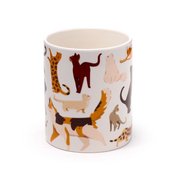 Katten mok met raskatten | Inclusief cadeaudoosje