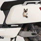 Auto sticker kat Siamees