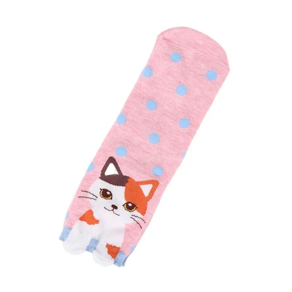 Katten sneakersokken 5 paar met verschillende katten, strepen en stippen
