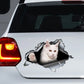 Auto sticker - Maine Coon wit