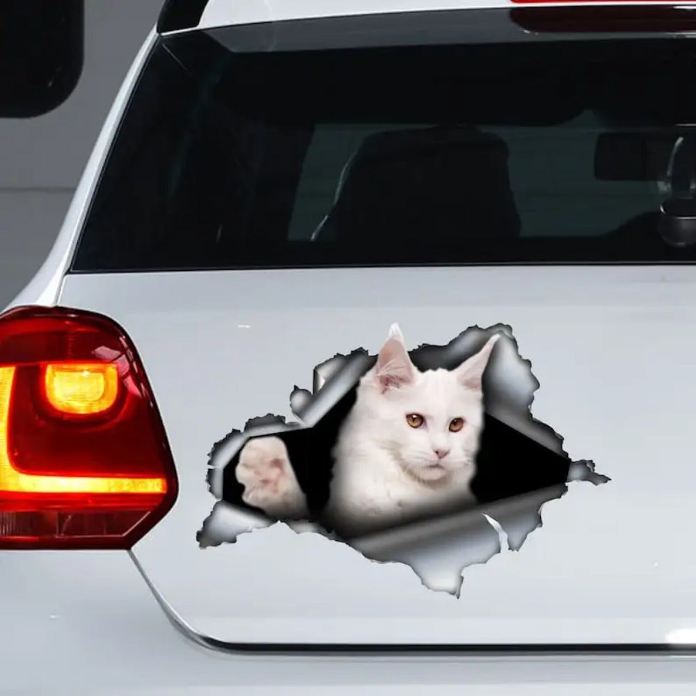 Auto sticker - Maine Coon wit