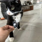 Sleutelhanger Tuxedo kat “Tuxie”