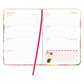 Franciens katten weekagenda Tibbe 2026