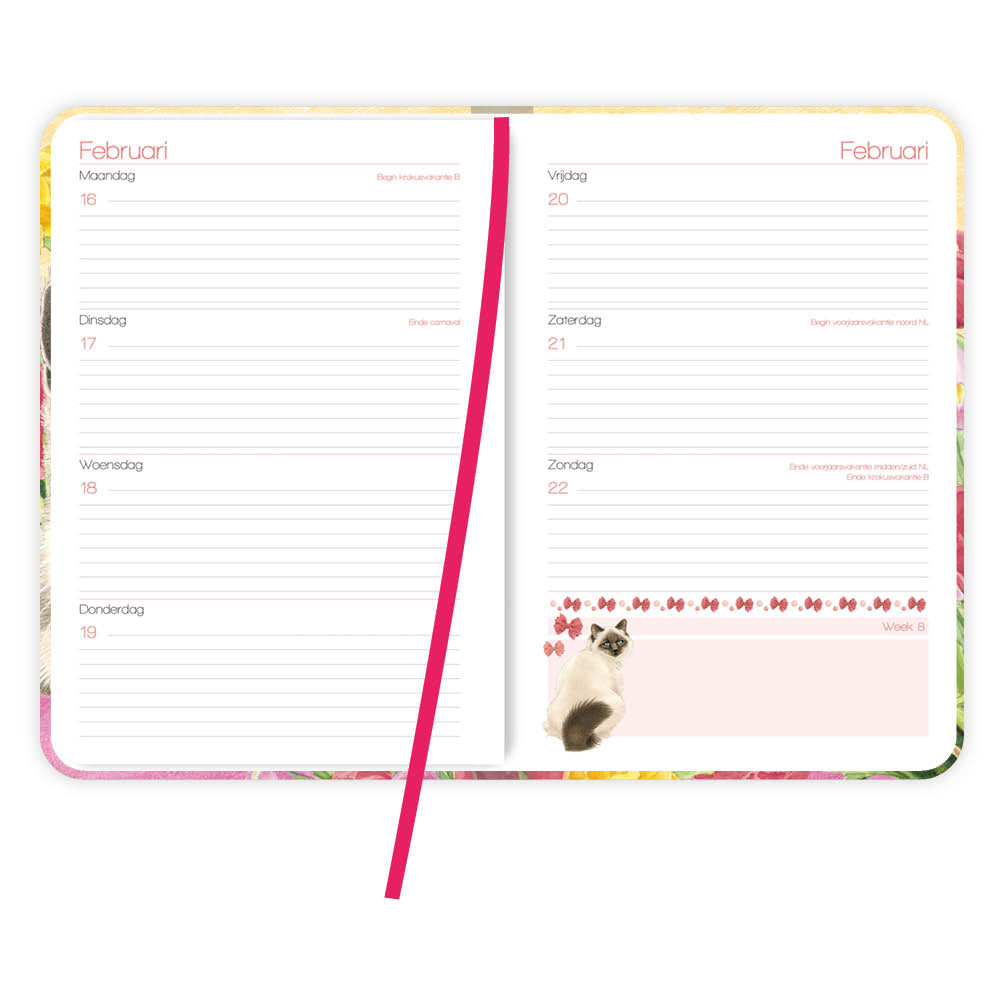 Franciens katten weekagenda Tibbe 2026