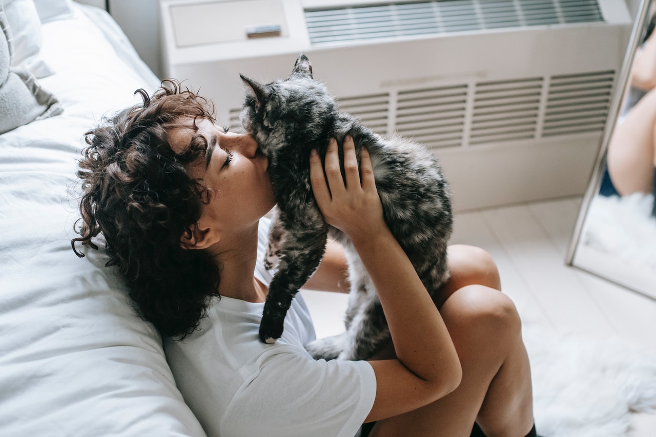 Nogeqi 7 stuks kattencadeaus voor kattenliefhebbers, vrouwen, beste vriendin, schattige katten, sleutelhanger, kat, kerstcadeaus, kleine cadeaus voor vrouw, BFF, haar verjaardag Nogeqi 7 stuks kattencadeaus voor kattenliefhebbers, vrouwen, beste vriendin, schattige katten, sleutelhanger, kat, kerstcadeaus, kleine cadeaus voor vrouw, BFF, haar verjaardag