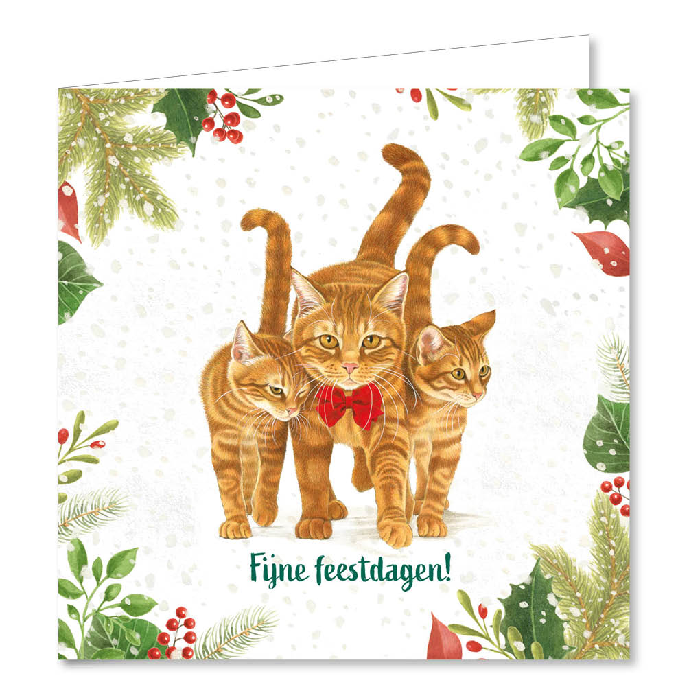 Katten kerstkaarten 10 stuks | Kat met kerstmuts – kat met strikje