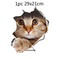 Katten muursticker 3D rode kat - I see you afmeting