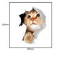 Katten muur sticker 3D rode kat - Kiekeboe afmeting