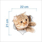 Katten muursticker 3D rode kat - Purrrfect red afmetingen