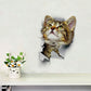Katten sticker 3D cyperse kitten - Happy kitten