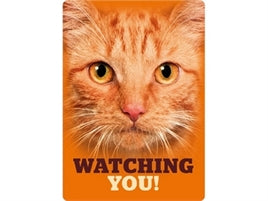 The Happy Cat Shop | Katten waakbord blik rode kat "Watching you!"