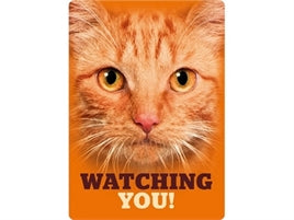 Waakbord blik rode kat "Watching you!"