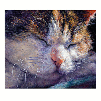 Katten dubbele wenskaart | Art liggende kat